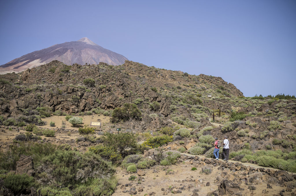 Trail in Teide National Park with two people walking and volcano in the background.
