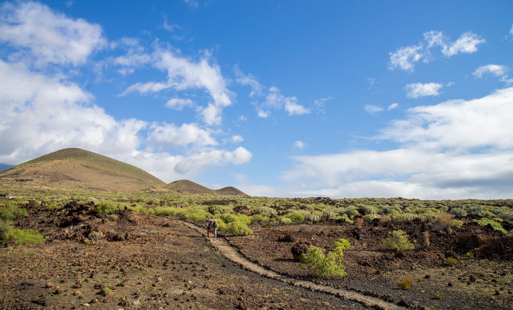 Trail in the volcanic landscape of Tenerife under a clear sky.