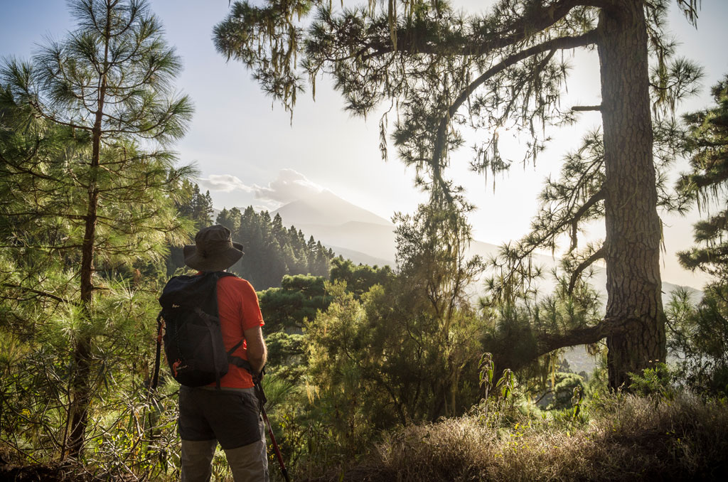 Person observing the mountainous landscape in Tenerife at sunset.