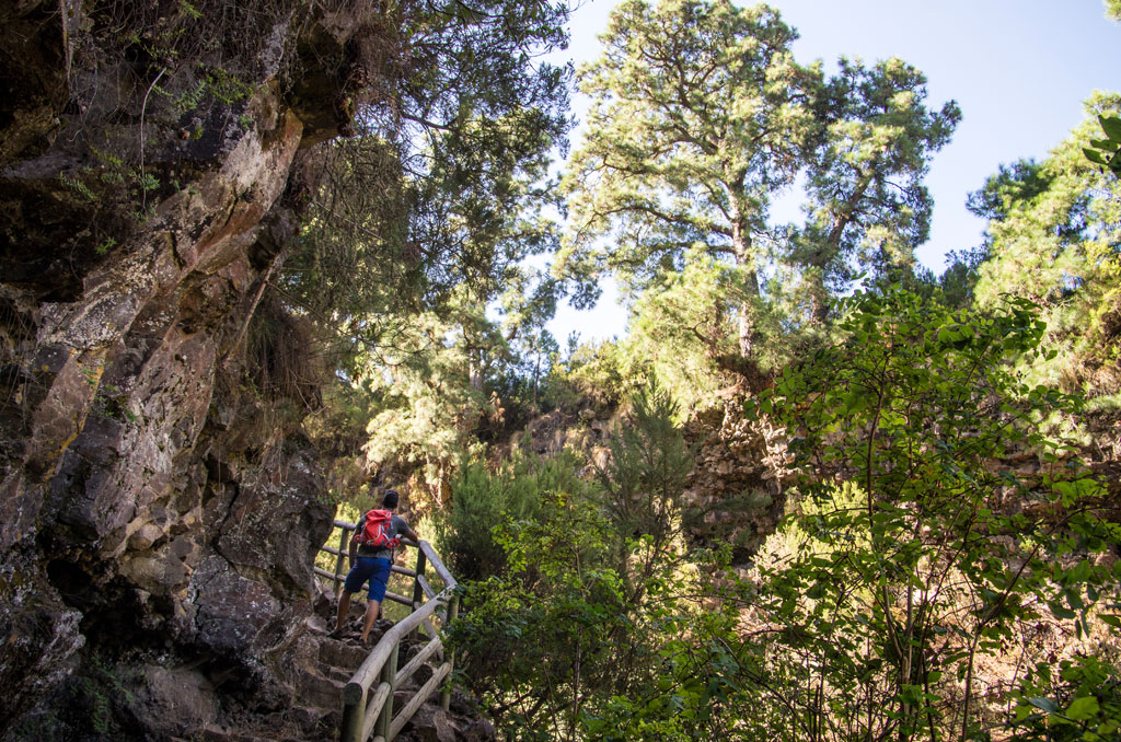 Person walking along a rocky path in the forest of Anaga, Tenerife.