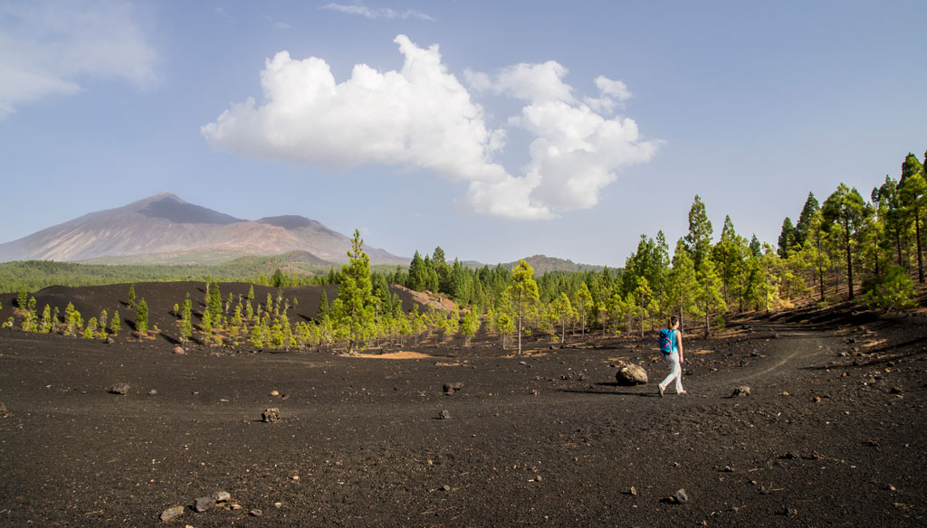 Person walking in the volcanic landscape of Teide National Park, Tenerife.