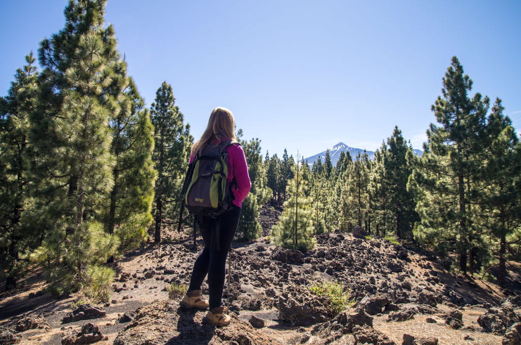 Person with backpack walking along a trail in Tenerife forest, with mountain in the background.