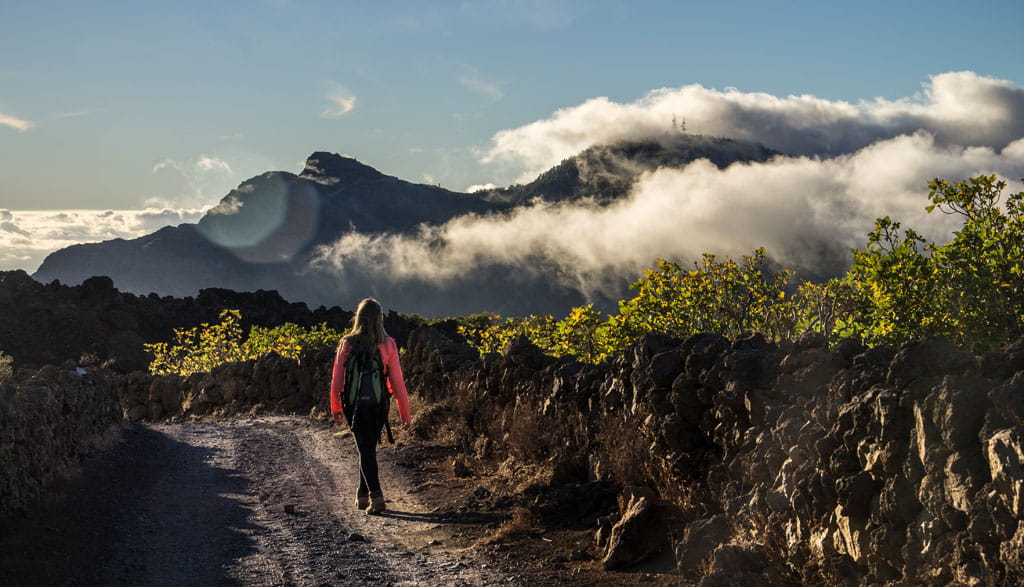 Person walking on a mountainous path in Tenerife, surrounded by clouds and vegetation.