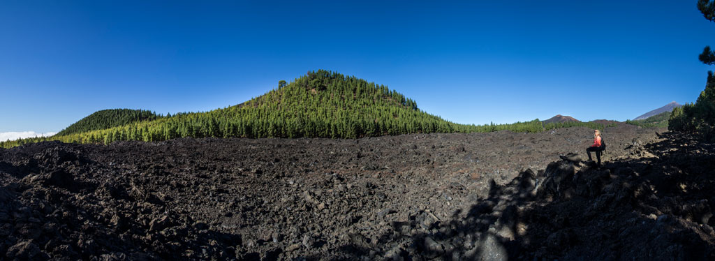 Lava field and green forest in Vilaflor, Tenerife, with clear skies.