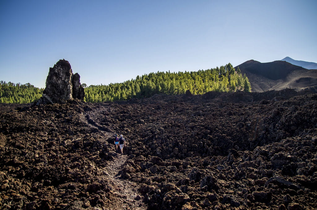 Trail in volcanic landscape with rocks and pines in Tenerife.