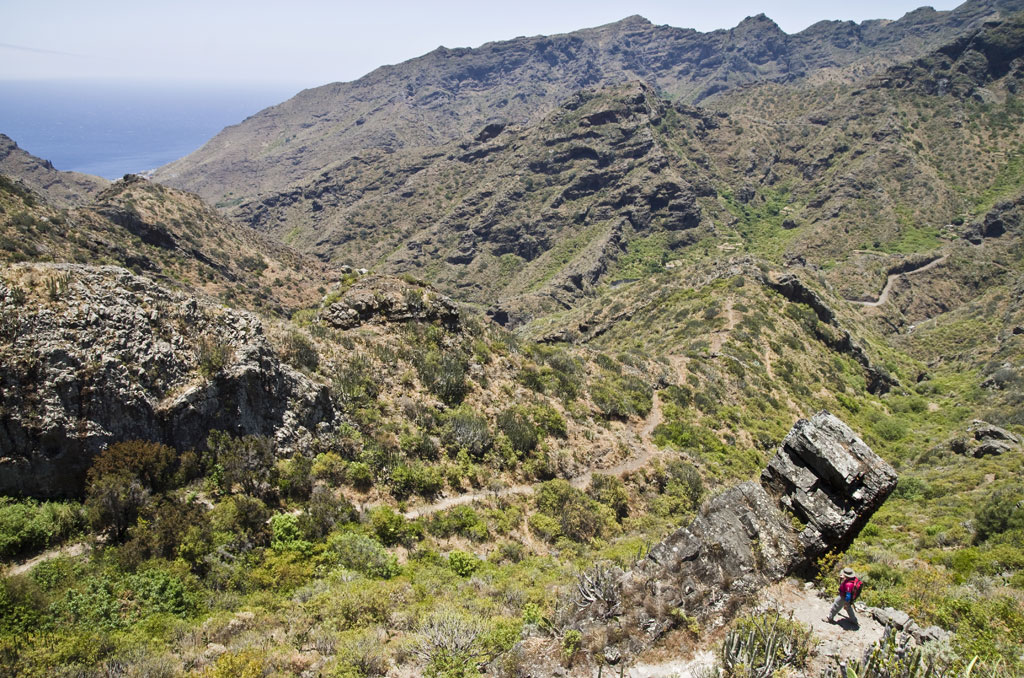 Mountainous trail in Teno, Tenerife, with one person walking among rocks and vegetation.