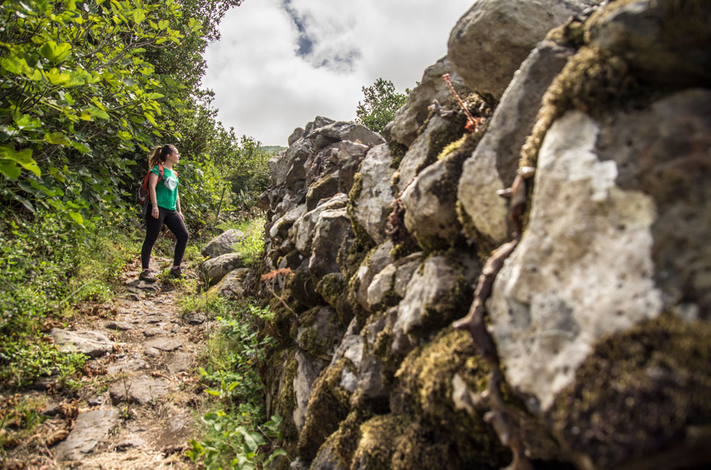 Person walking on a rocky path surrounded by nature in Tenerife.