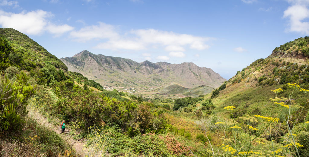 Mountainous valley with trail and vegetation in Anaga, Tenerife.