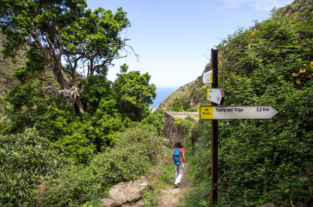Trail to Tierra del Trigo in Tenerife with one person walking and direction sign.