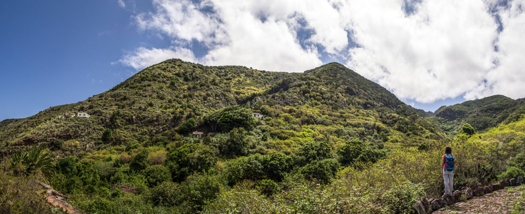 Walker in the green mountains of Anaga, Tenerife, under a blue sky.