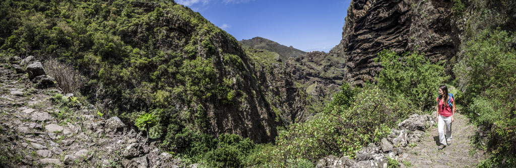 Mountainous trail surrounded by vegetation in the Barranco de Masca, Tenerife.