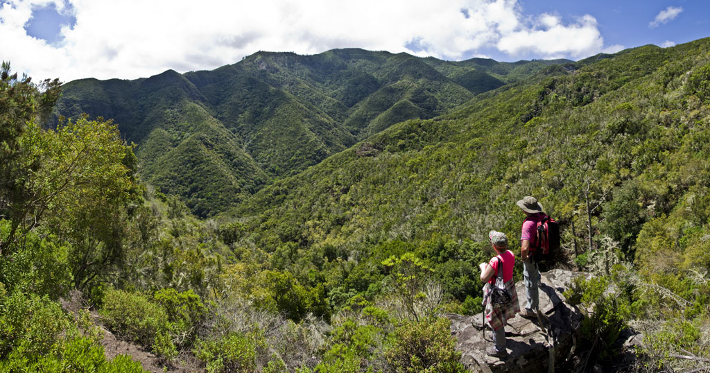 Trail in Anaga, Tenerife, with two hikers observing green mountains.