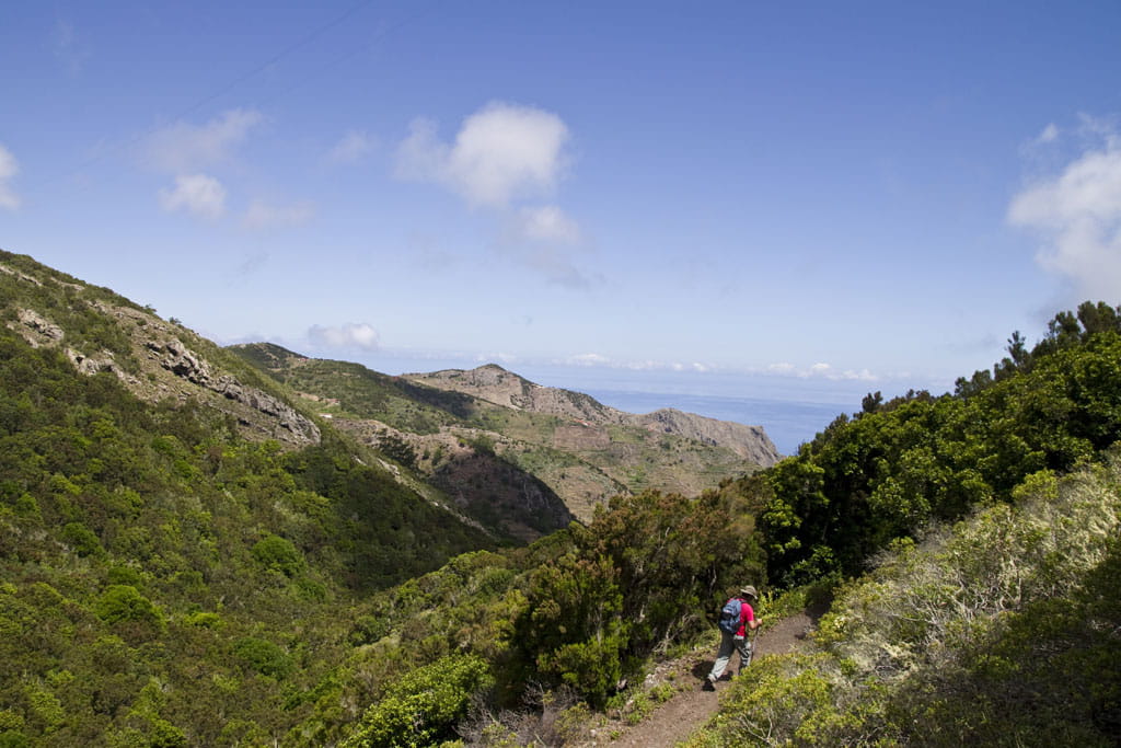 Trail in Anaga Rural Park, Tenerife, with views of the ocean and mountains.