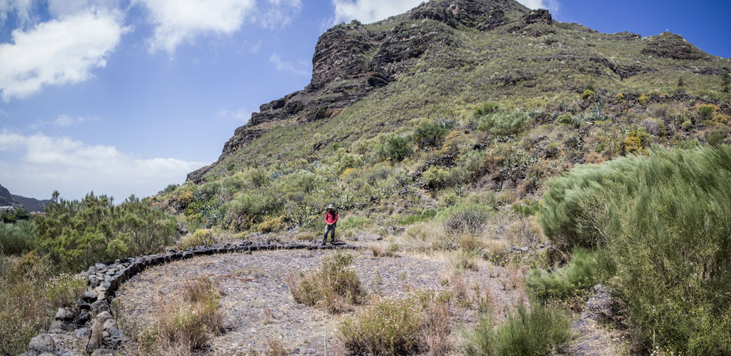 Mountain trail in the Teno Rural Park, Tenerife, with a solitary walker.