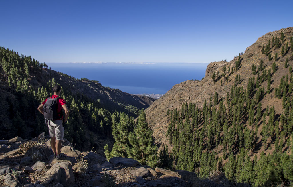 Person with backpack contemplating mountainous landscape and sea in Tenerife.