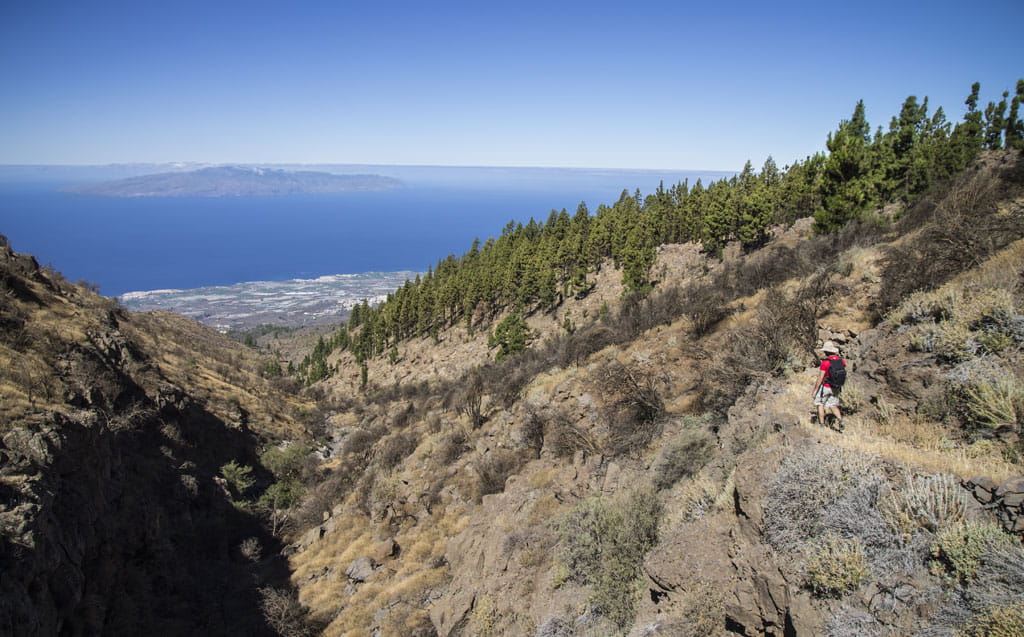 Hiking in a ravine in Tenerife with a view of the sea and vegetation.