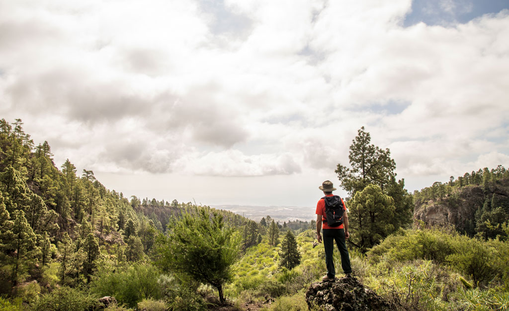 Person with backpack looking at forest on a trail in Tenerife.