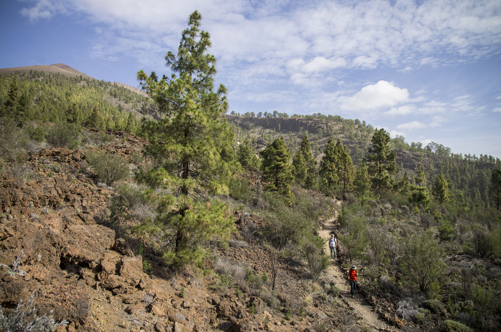 Hiking trail in a mountainous landscape of Tenerife.