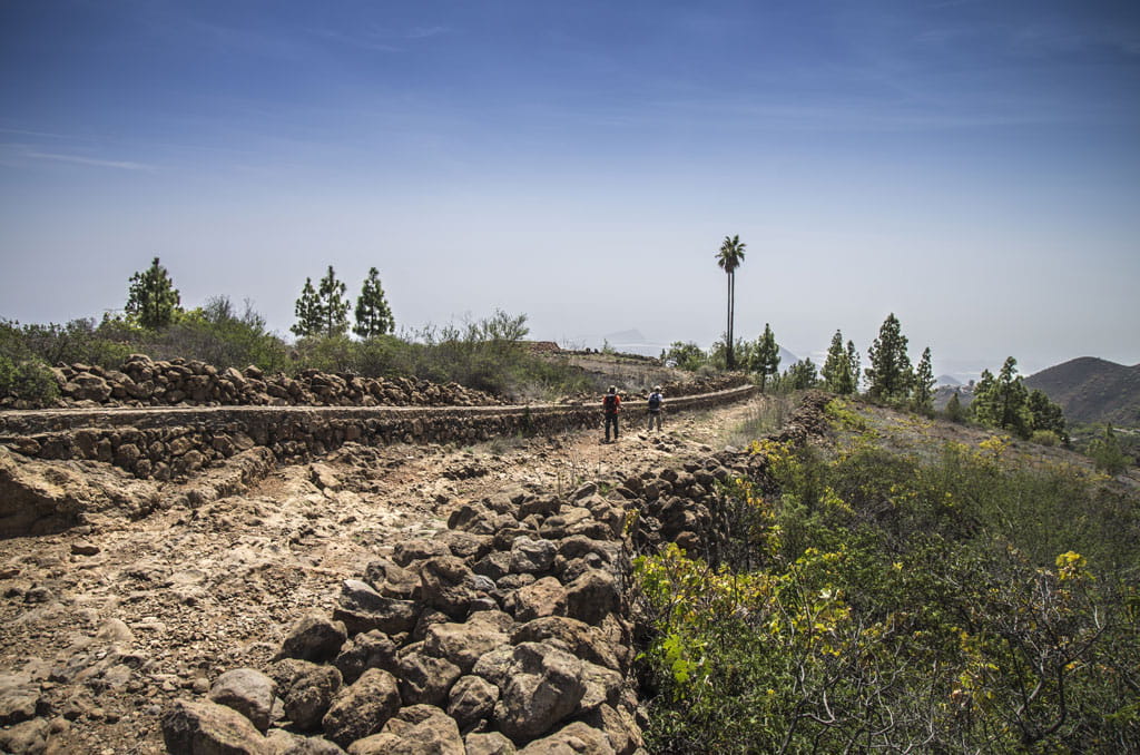 Rocky trail with walkers and greenery in Tenerife under a clear sky.