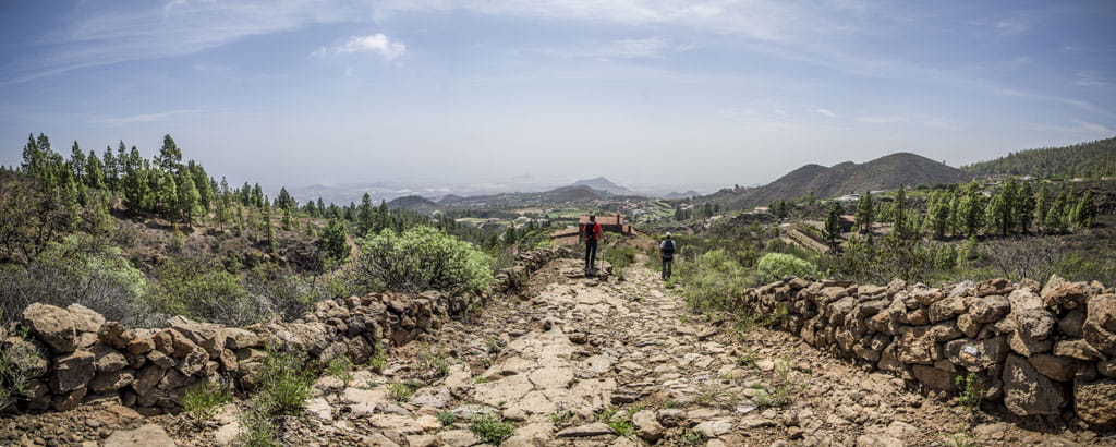 Rocky path between trees in a mountainous landscape of Tenerife.