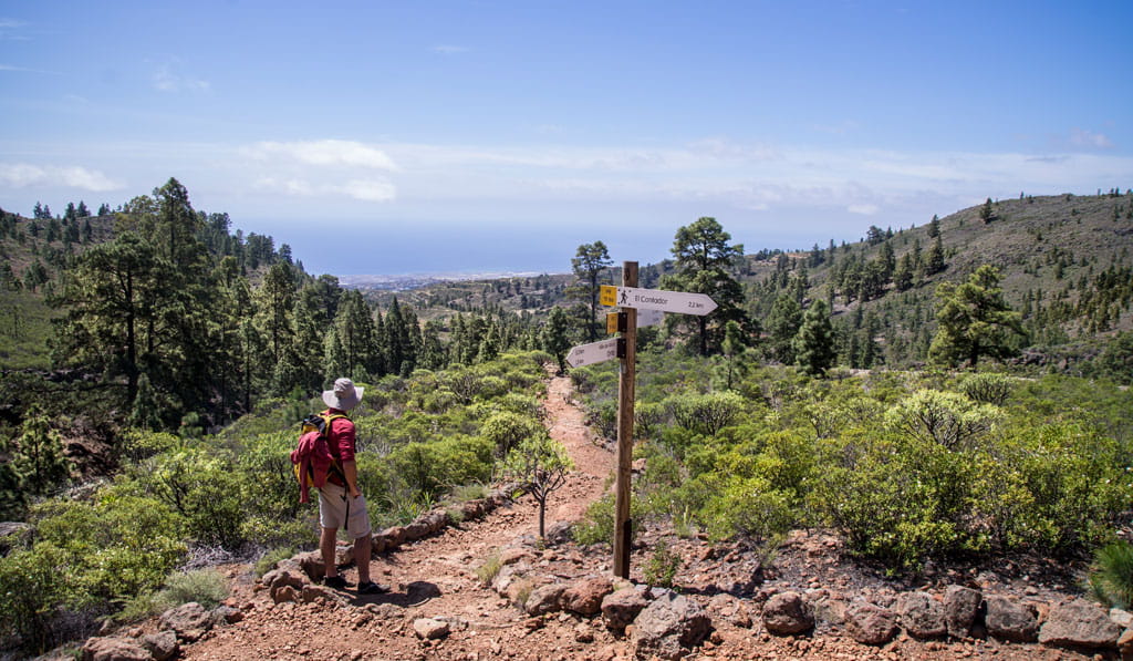 Person observing signage on mountain trail in Tenerife.
