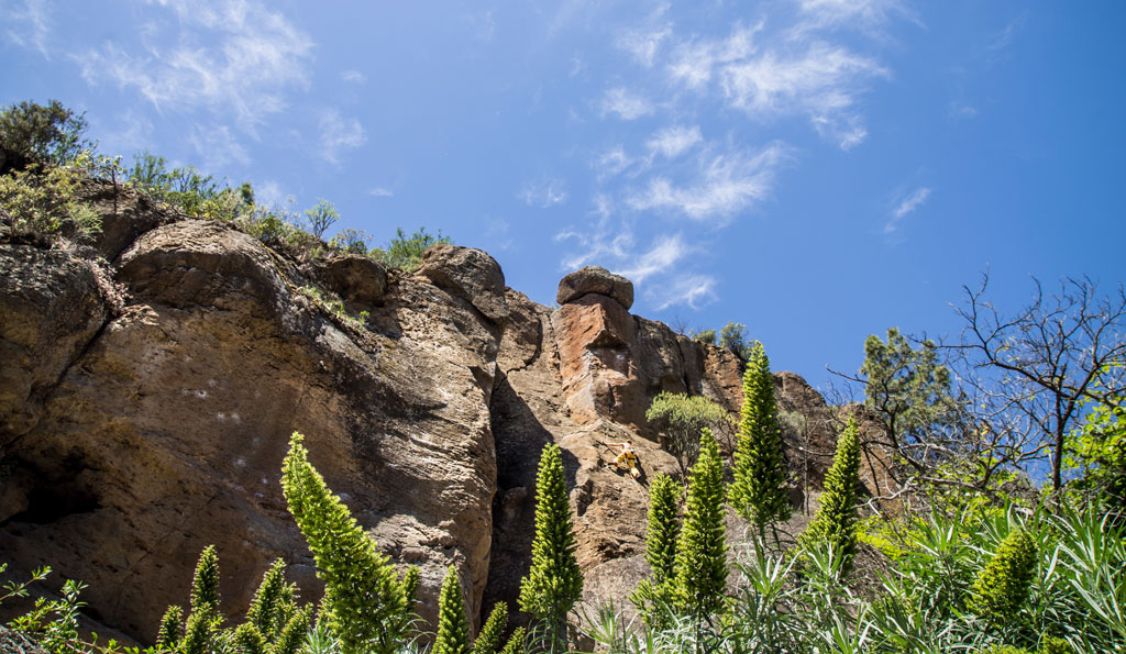 Rocks and plants under a blue sky in a landscape of Tenerife.