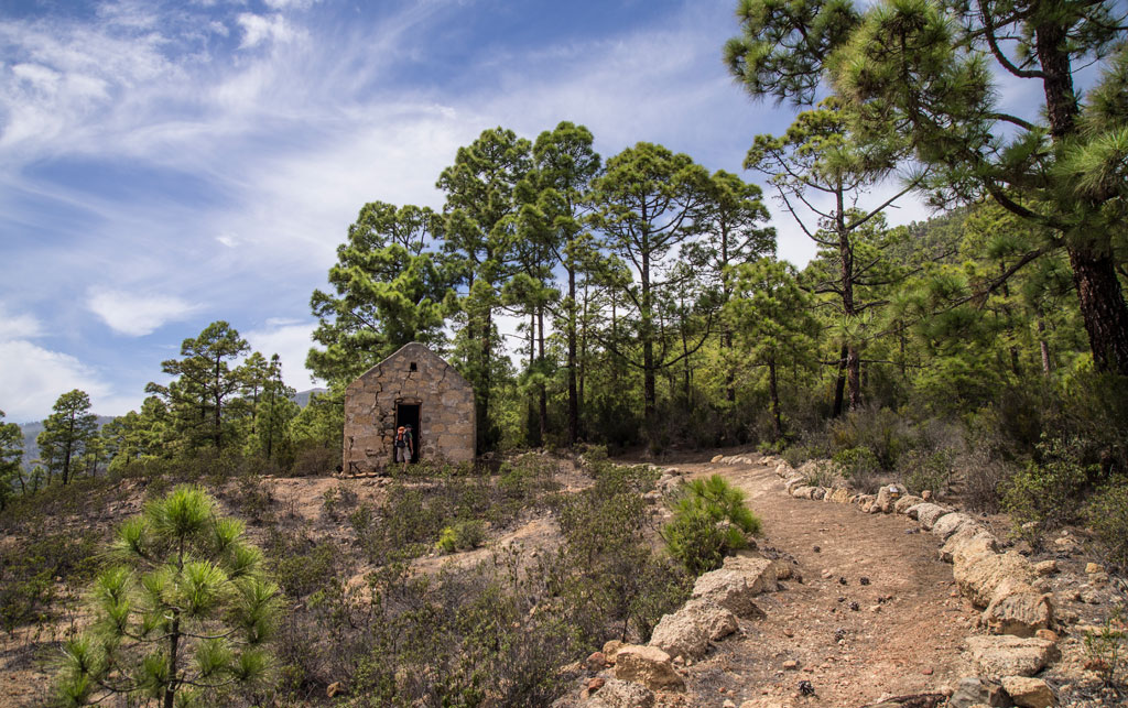 Trail to a small cabin in the forest of Tenerife.