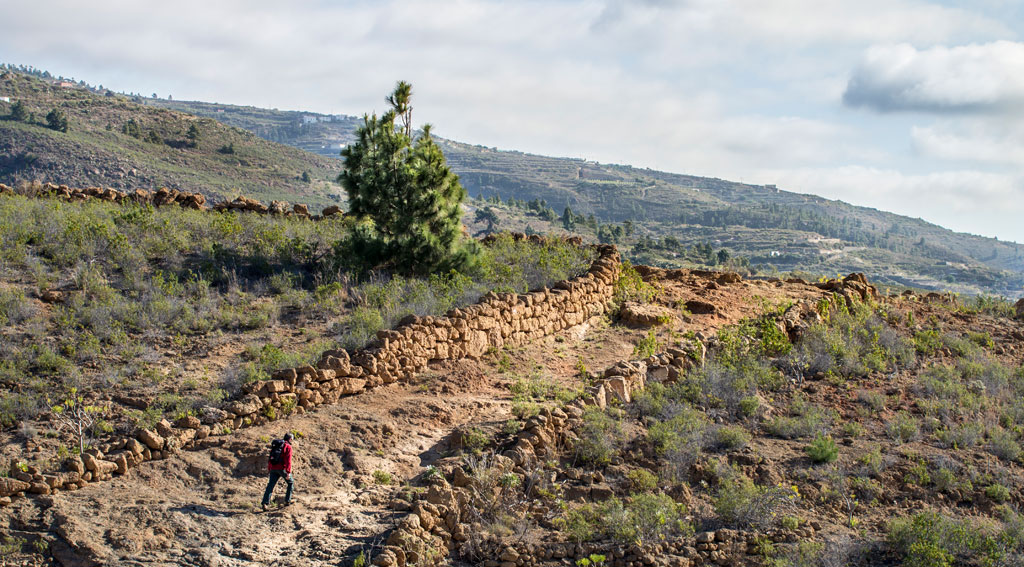 Hiking trail in the mountainous landscape of Tenerife, surrounded by bushes and stones.