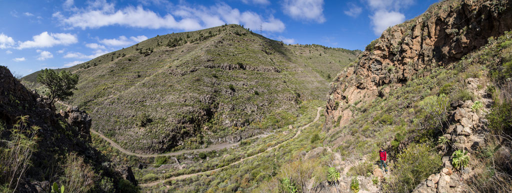 Mountainous valley in Tenerife with a path covered with vegetation and blue sky.