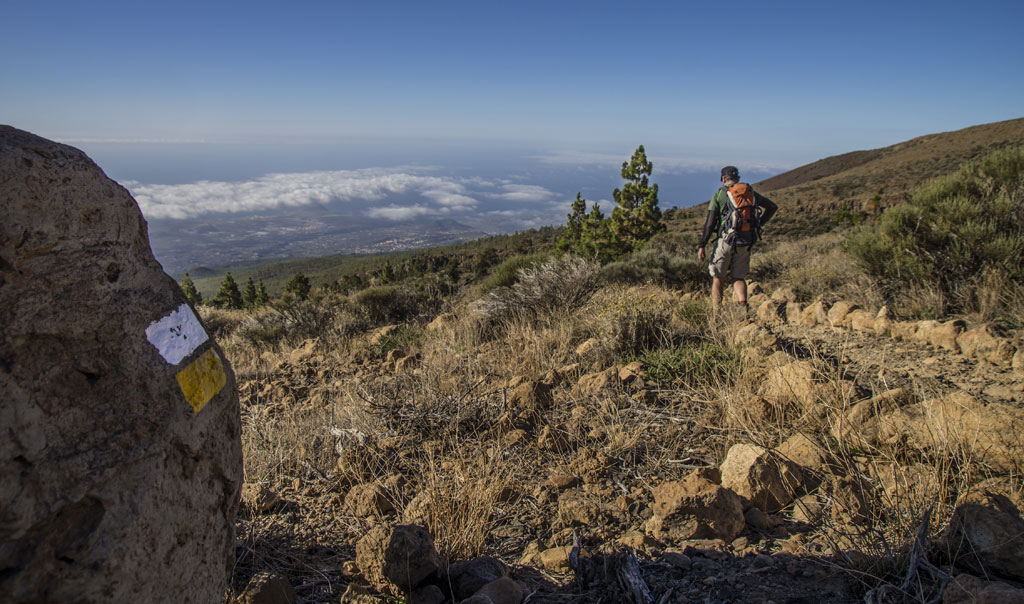 Hiker on a mountainous trail in Tenerife with sea views and clear skies.