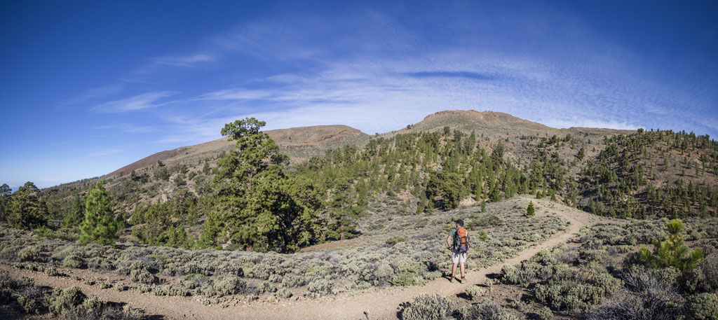 Trail into the mountains in a natural landscape of Tenerife.