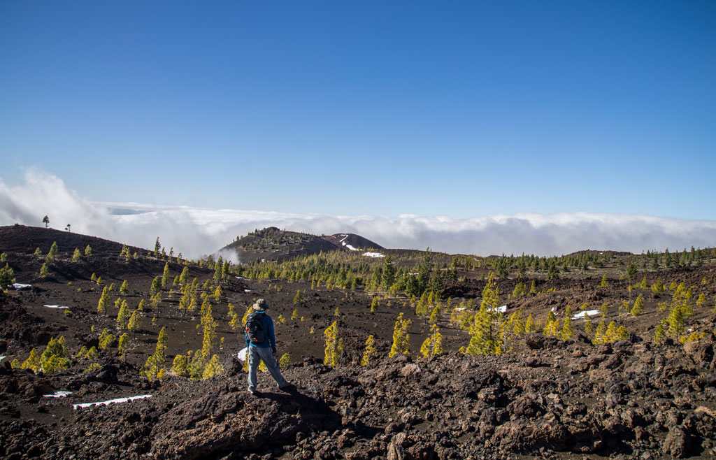 Person walking in volcanic landscape in Tenerife, with clouds and pine trees around.