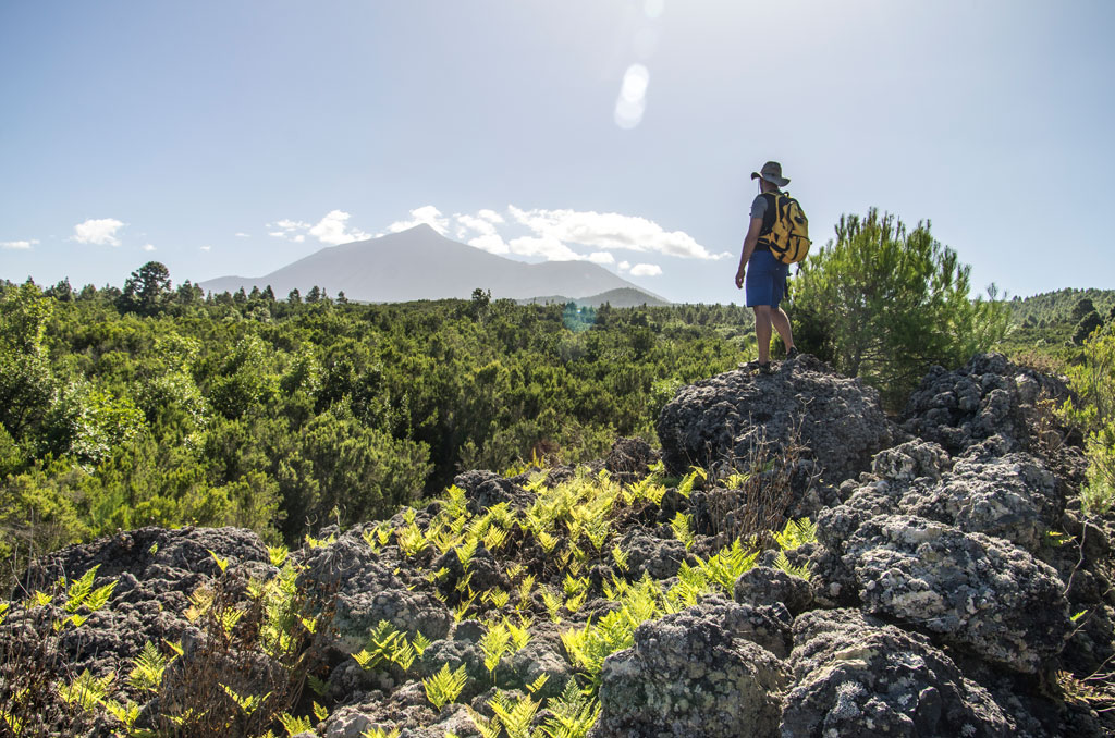 Person with backpack looking at the mountainous landscape of Tenerife.