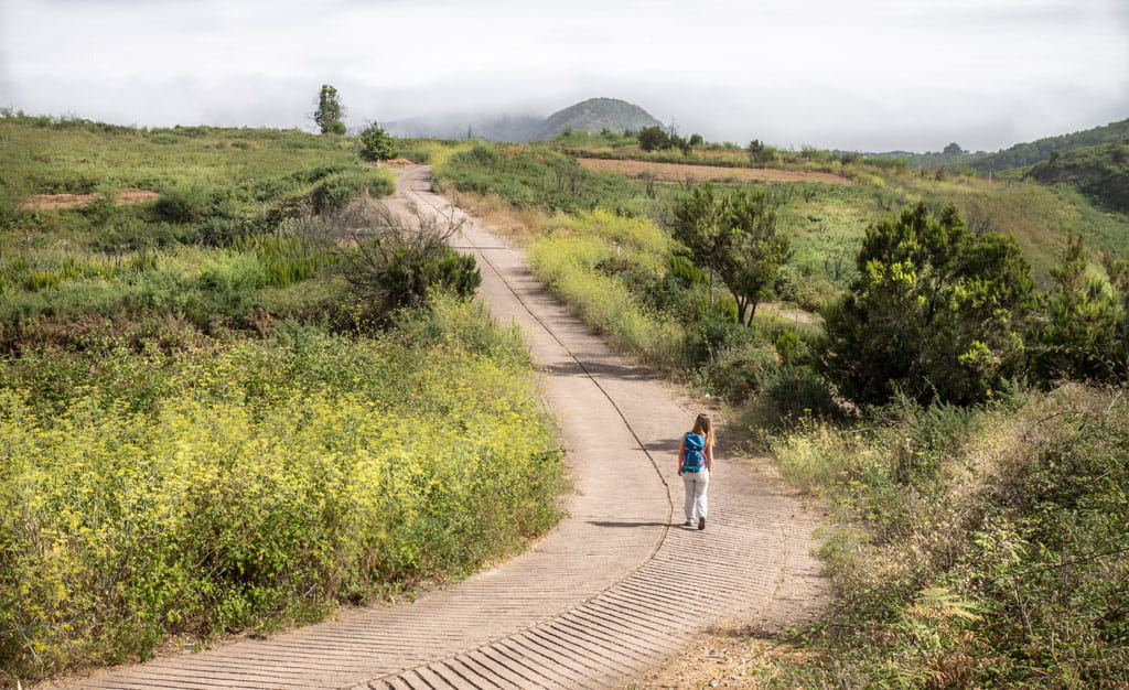 Person walking along a path in a green area of Tenerife.