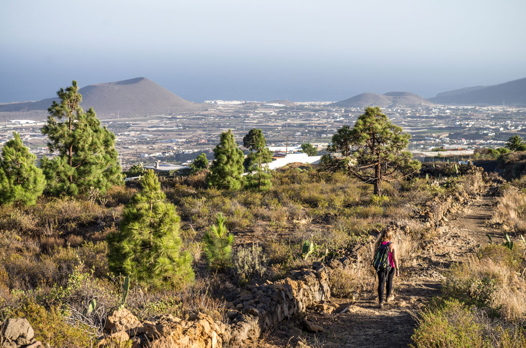 Trail to Montaña Roja in a natural landscape overlooking the sea in Tenerife.