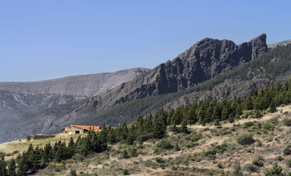Rural house in front of mountains and forest in Tenerife under clear skies.