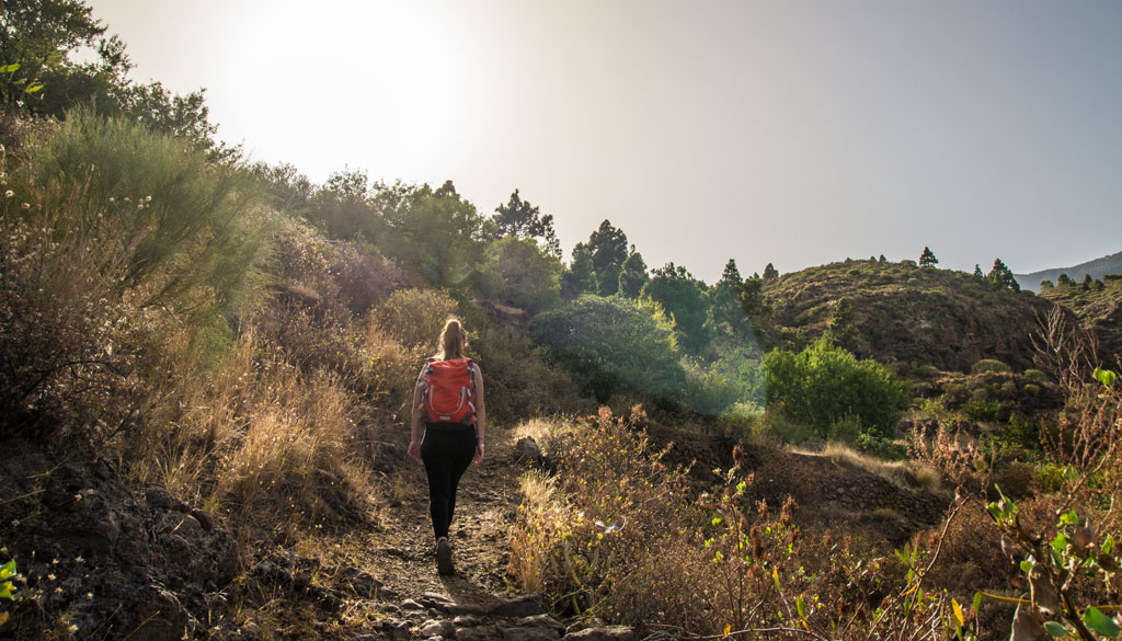 Person with backpack walking on nature trail in Tenerife.