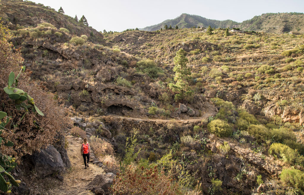 Mountain trail in Tenerife with hiker in the foreground.