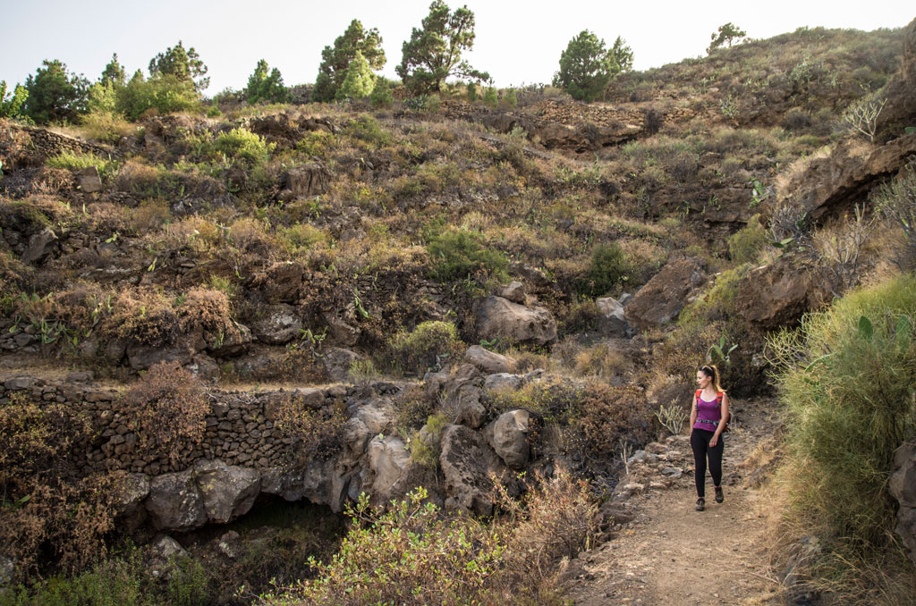 Trail with vegetation and person walking in the Barranco del Infierno, Tenerife.