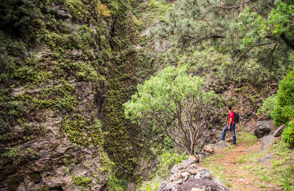 Mountainous trail in Tenerife with walker and lush vegetation.