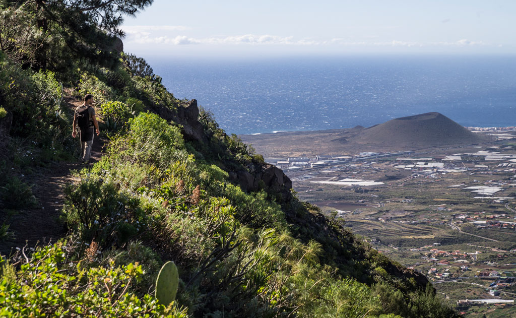 Trail with walker and view of the landscape in Tenerife towards the sea.
