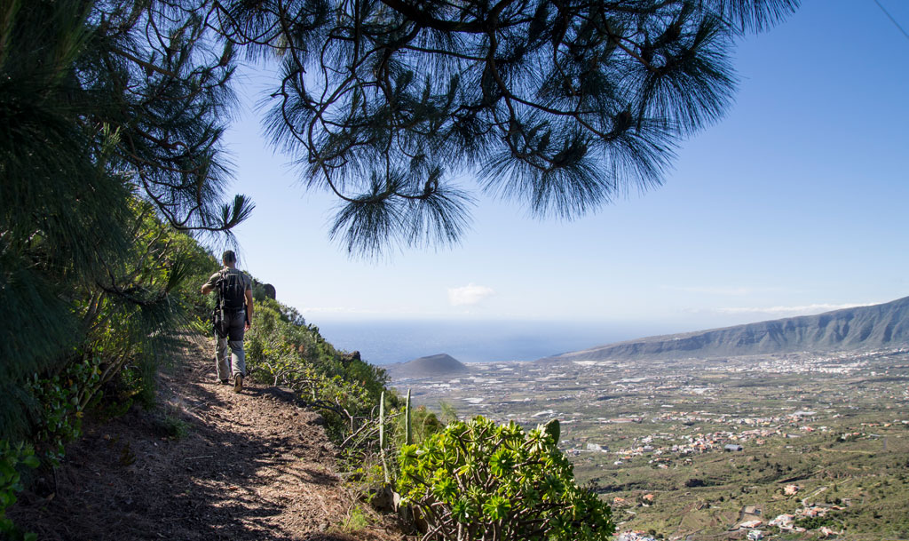 Person walking on a trail in Tenerife with sea views and mountainous landscape.