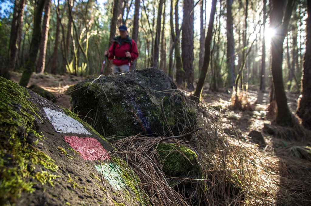 Forest trail in Tenerife with walker and signs marked in stone.