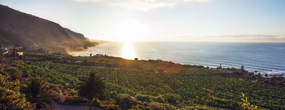PR-TF 41 Playa de El Socorro - Pico del Teide (Ruta 0.4.0)