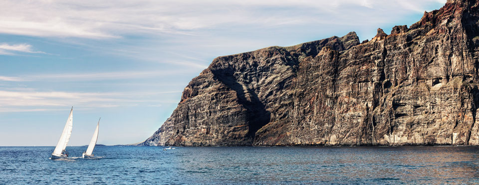 El experimento de la motita de polvo