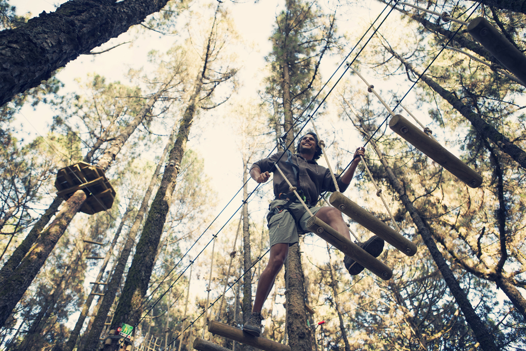 Person crossing a ropes course between trees in Tenerife.
