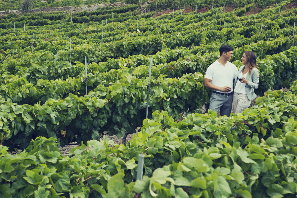 Couple enjoying wine in a vineyard in Tenerife.