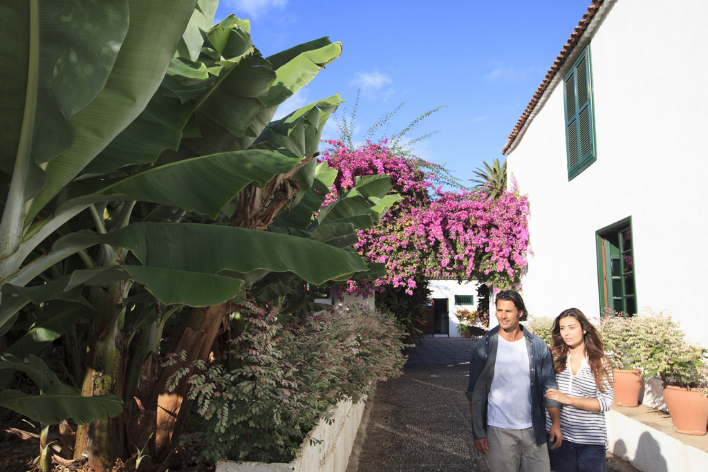 Couple walking next to banana trees and bougainvillea in Tenerife.