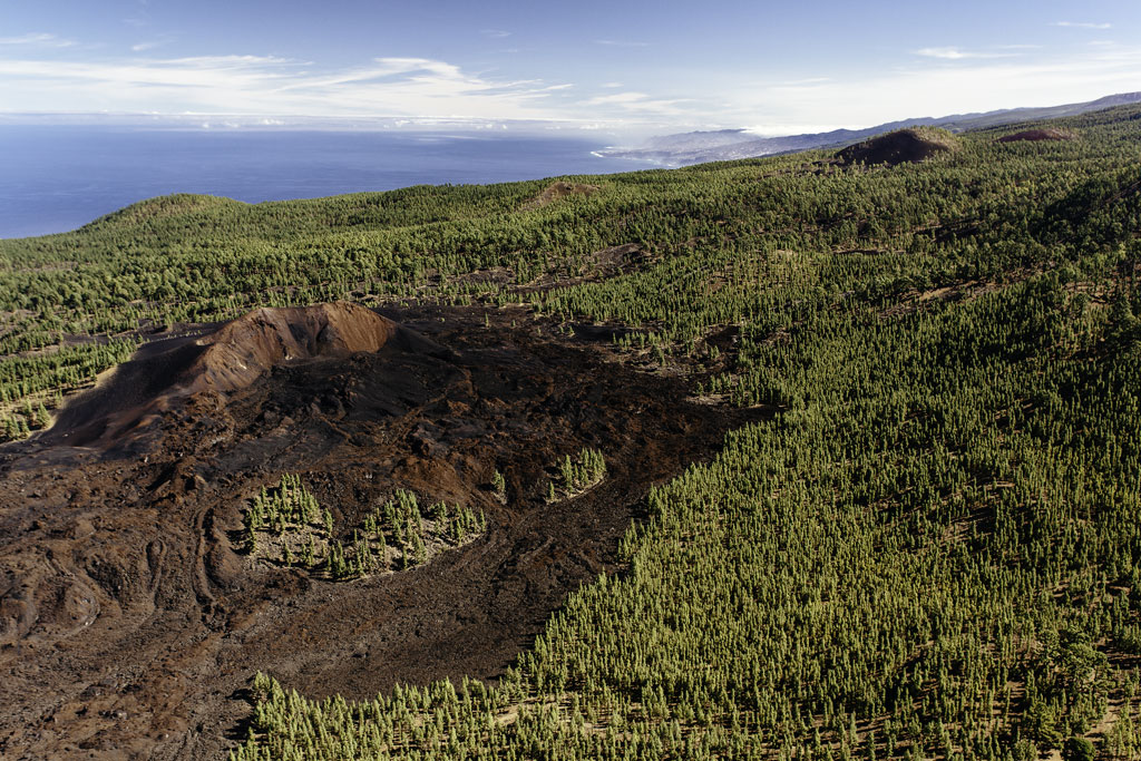 Volcanic crater surrounded by forest in La Palma, Tenerife, with the sea in the background.