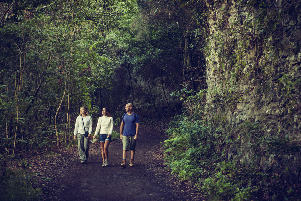 People walking along a path surrounded by greenery in Tenerife.